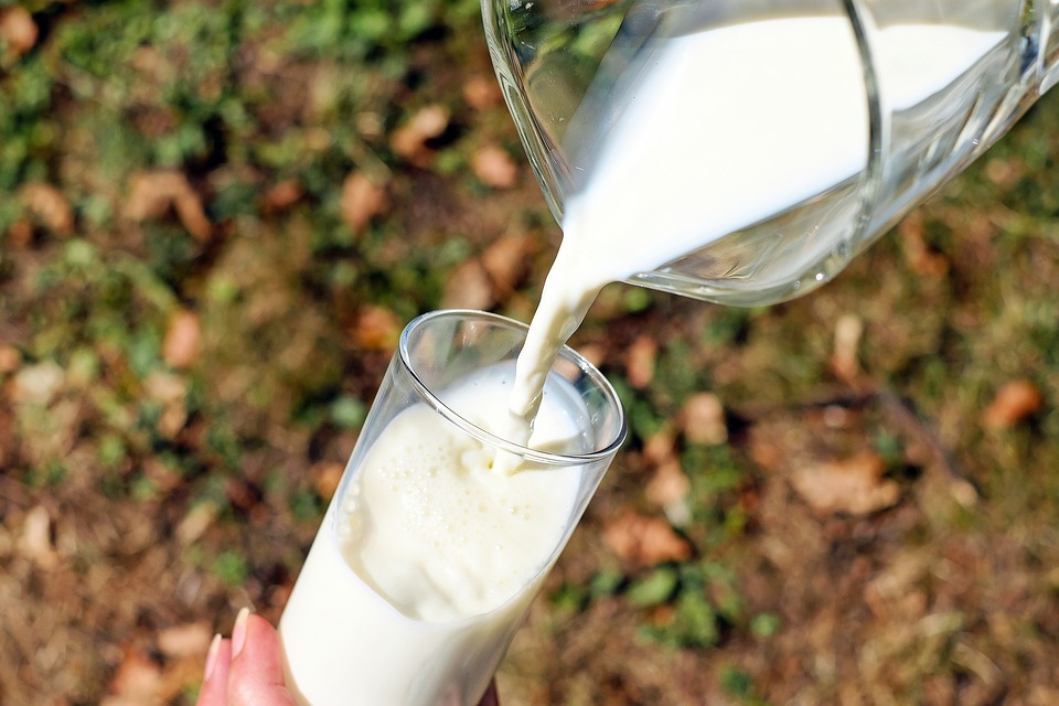 Каждая десятая проба молочной продукции из магазинов Иркутской области не соответствует требованиям технических регламентов